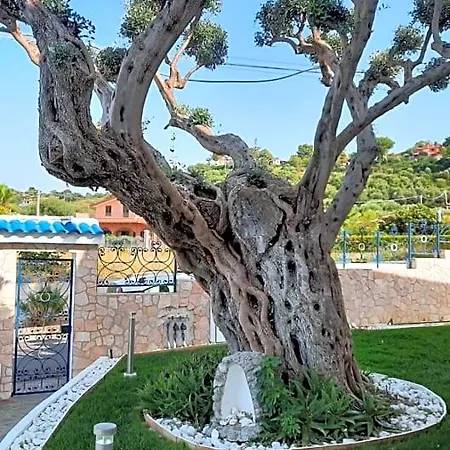 Ludo A Tropea Bed & Breakfast Zambrone