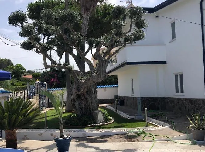 Alojamento de Acomodação e Pequeno-almoço Ludo A Tropea 4*